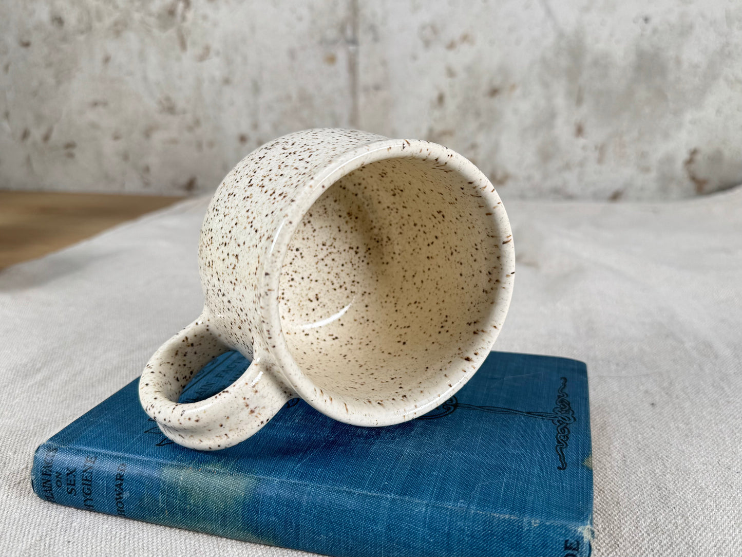 14 oz Coffee Mug, Eggshell White Speckle