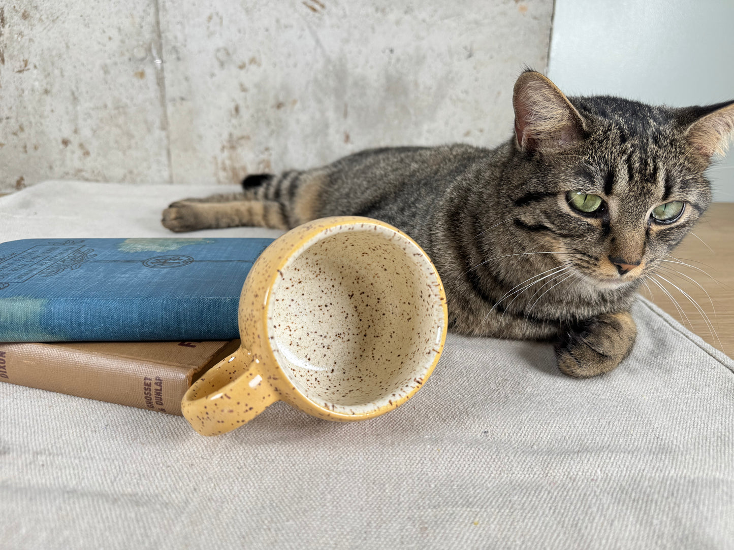 Yellow Speckle 6oz Espresso Mug