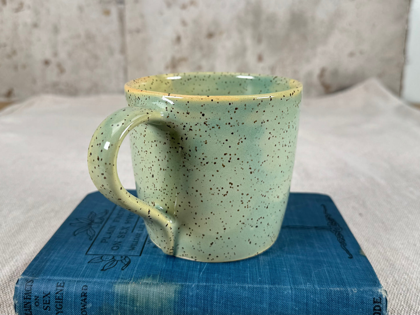 14 oz Coffee Mug, Sage Green Speckle