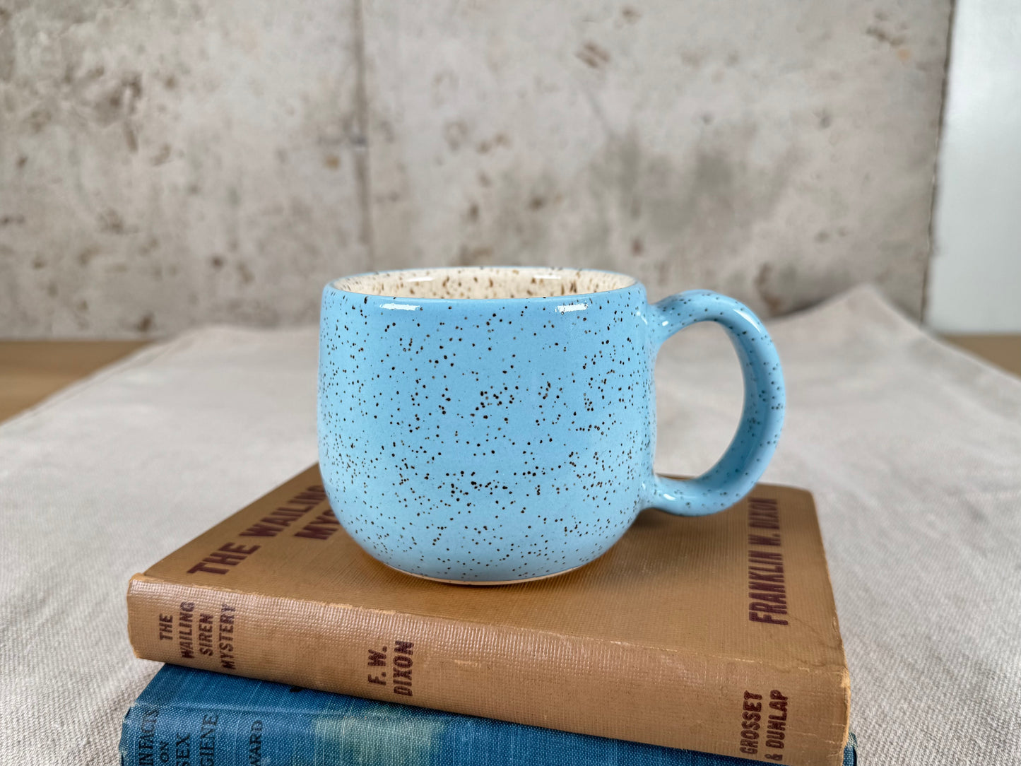 12 oz Coffee Mug, Robin Egg Blue Speckle