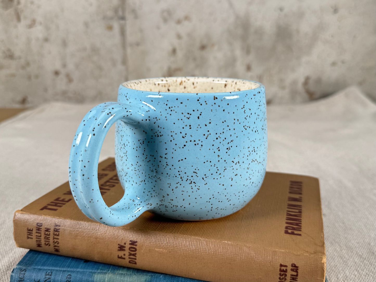 12 oz Coffee Mug, Robin Egg Blue Speckle