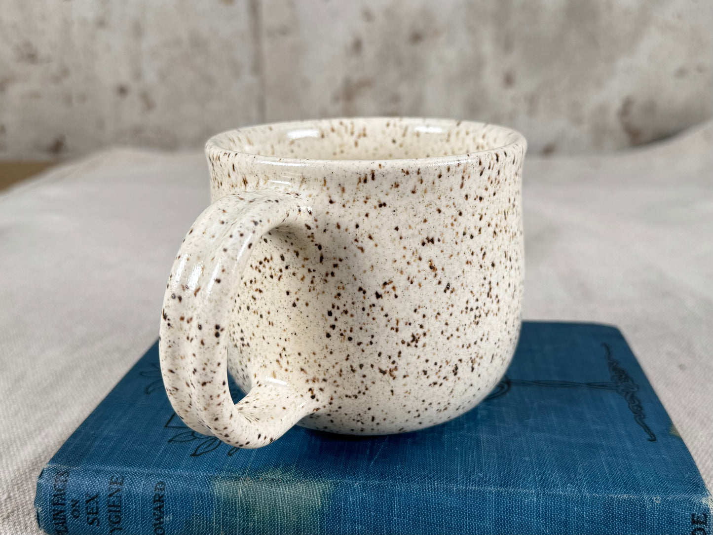 14 oz Coffee Mug, Eggshell White Speckle